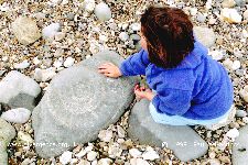 Fossil - 4