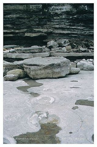 fossil5n.jpg (49850 bytes)