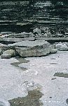Fossil - 5